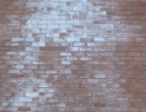 harmful salts leeching from a damp brick wall